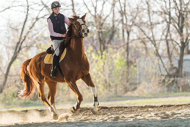 istock Young girl riding a horse 629323338