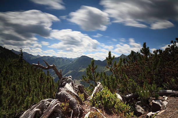 górska panorama hochwurzen - wanderurlaub zdjęcia i obrazy z banku zdjęć