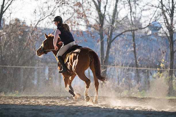 istock Young girl riding a horse 629323800