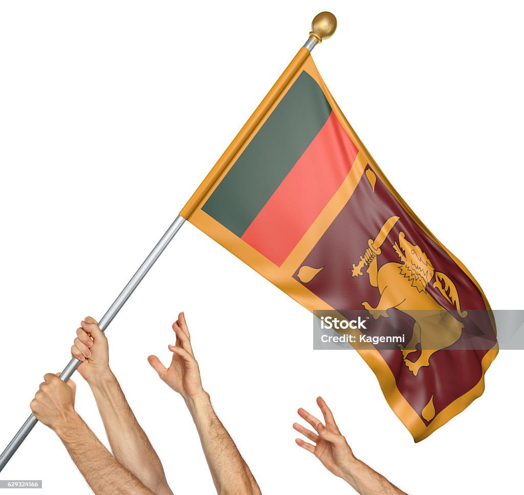 Team of peoples hands raising the Sri Lanka national flag Group of peoples hands raising the national flag of Sri Lanka into the air, isolated against a white background. Authority Stock Photo