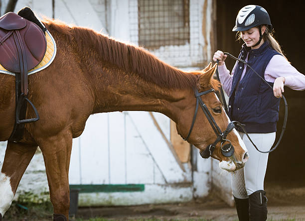 istock Young girl preparing horse for ride 629324350