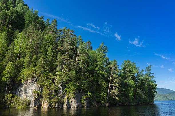 istock Forest by the the lake 629340722