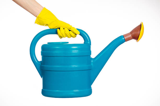 istock hand in yellow rubber gloves holding a plastic watering can 629341298