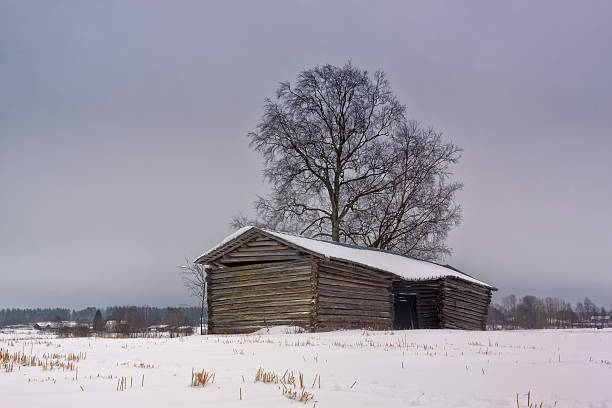 vecchio fienile su una collina - winter finland agriculture barn foto e immagini stock
