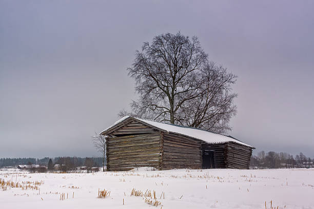 старый сарай на холме - winter finland agriculture barn стоковые фото и изображения