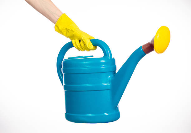 istock hand in yellow rubber gloves holding a plastic watering can 629341520