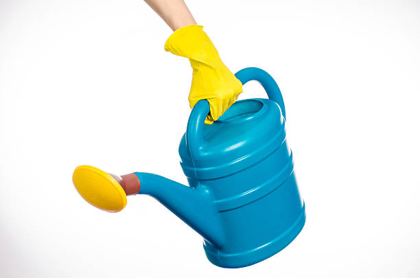 istock hand in yellow rubber gloves holding a plastic watering can 629341568