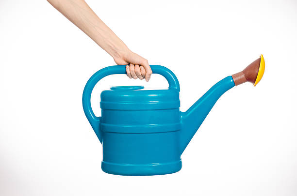 istock hand holding a large blue plastic watering can 629341606