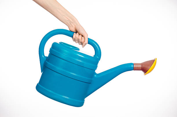 istock hand holding a large blue plastic watering can 629341654