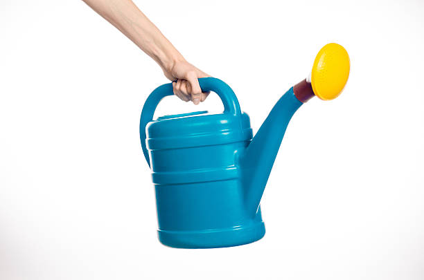 istock hand holding a large blue plastic watering can 629341700