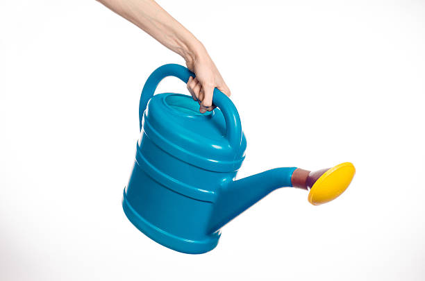istock hand holding a large blue plastic watering can 629341738