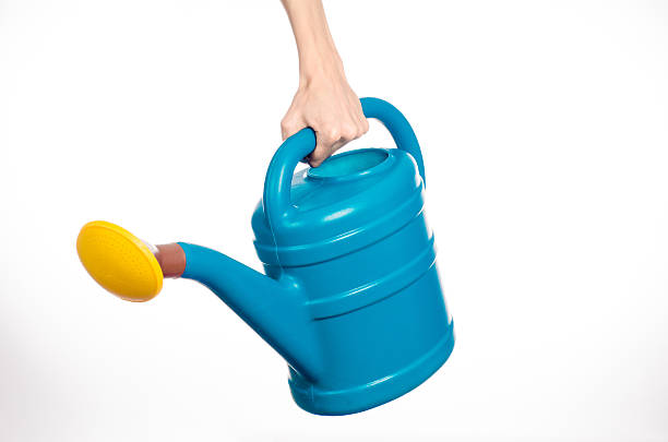 istock hand holding a large blue plastic watering can 629341854