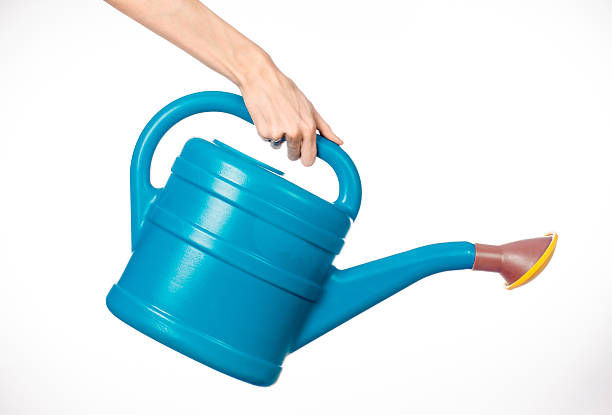 istock hand holding a large blue plastic watering can 629341958