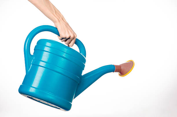 istock hand holding a large blue plastic watering can 629341992