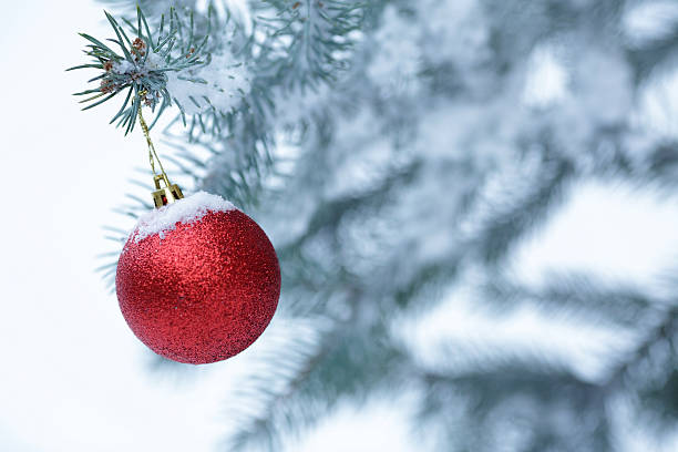 istock Christmas ball with pine branch 629353896