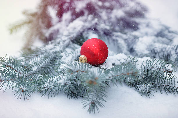 istock Christmas ball with pine branch 629354184