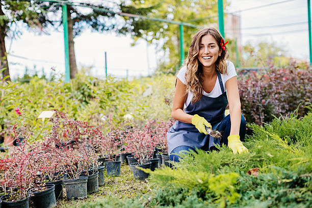 istock Beauty in the garden 629354702