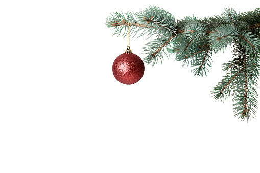 Christmas ball on the tree, on a white background, isolated