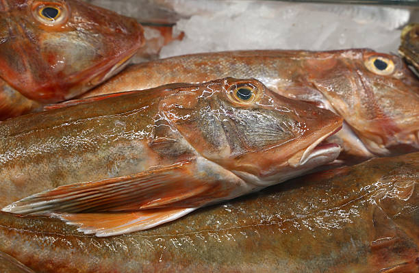 istock Fresh catch of fish on retail market display 629355580