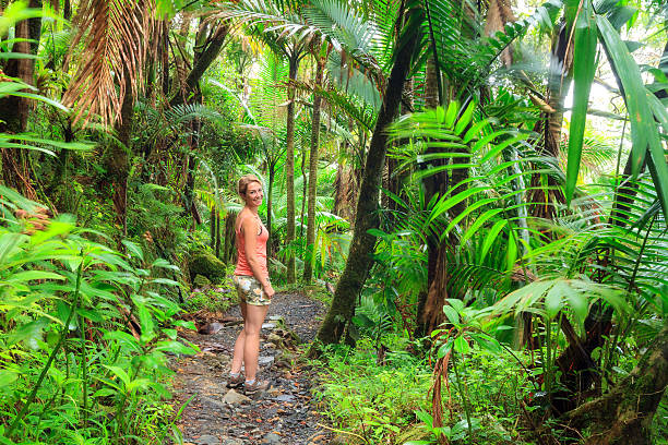 istock Hiking adventure El Yunque 629355884