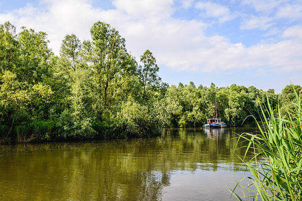 istock Creek, shrubs and trees in a Dutch nature reserve 629357692
