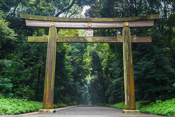 tempio meiji-jingu nel centro di tokyo, giappone - shinto japan temple nature foto e immagini stock