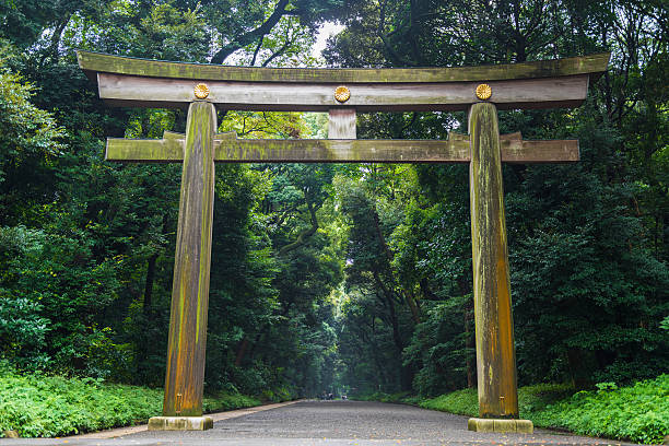 Meiji-jingu temple in Central Tokyo, Japan Tokyo, Japan - September 15, 2016: Meiji-jingu temple in Central Tokyo, Japan. Meiji Shrine is a shrine dedicated to the deified spirits of Emperor Meiji and his consort, Empress Shoken. shinto photos stock pictures, royalty-free photos & images