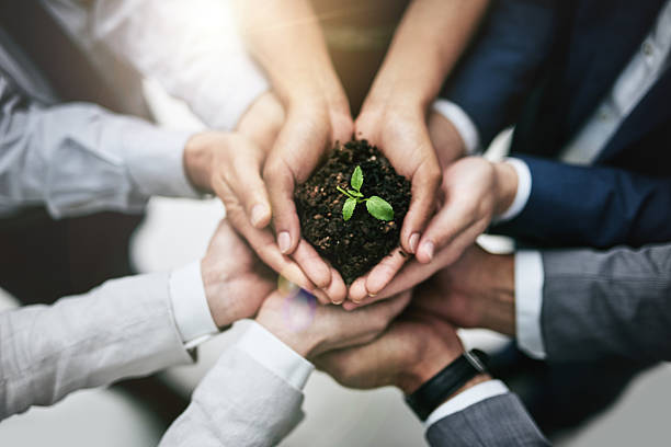 Generating growth by joining forces Cropped shot of a team of colleagues holding a plant growing out of soil environmental issues photos stock pictures, royalty-free photos & images
