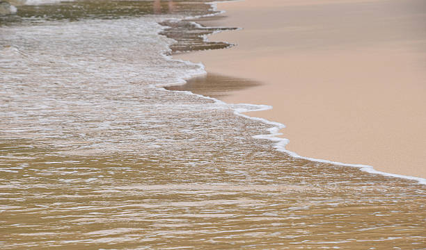 istock High Angle View Of Waves At Wet Shore 629364211