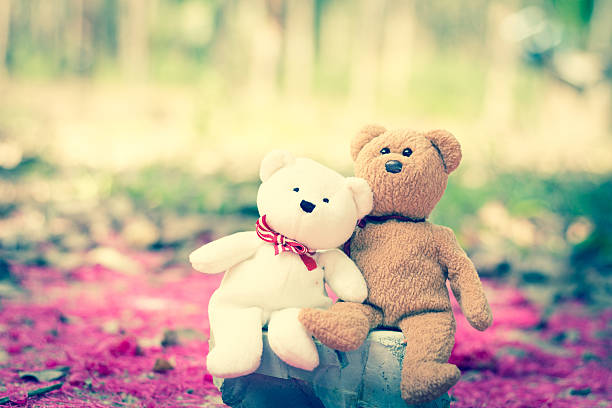 istock lovely teddy brown and white 629364858