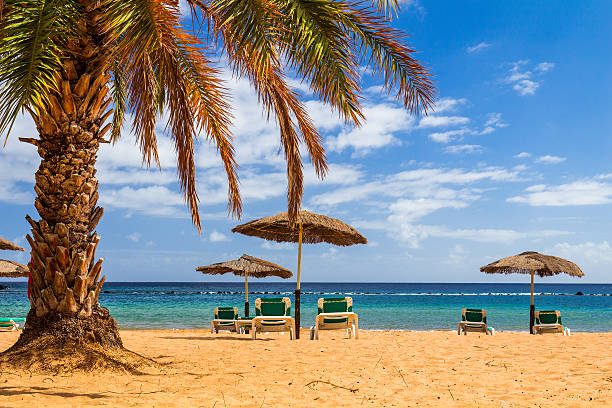 istock Yellow sand beach with lounge chairs and umbrellas 629365550