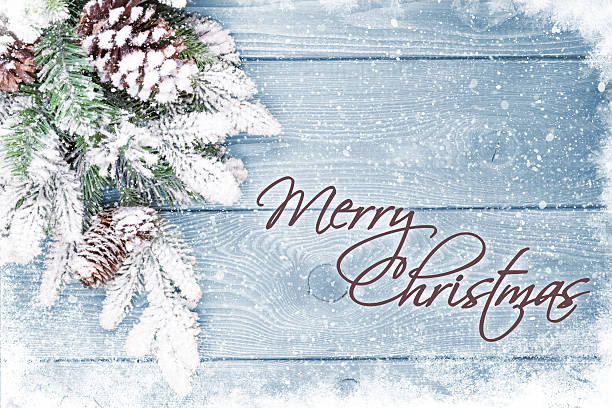 istock Old wood texture with snow and firtree 629367338