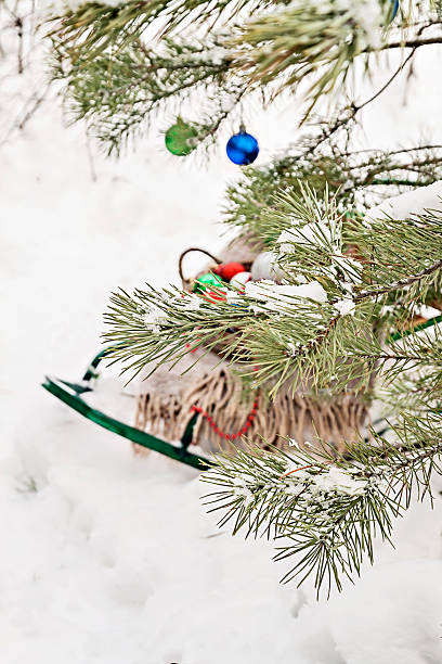 istock decorated Christmas tree in a snowy forest, sledges, blanket and 629375122