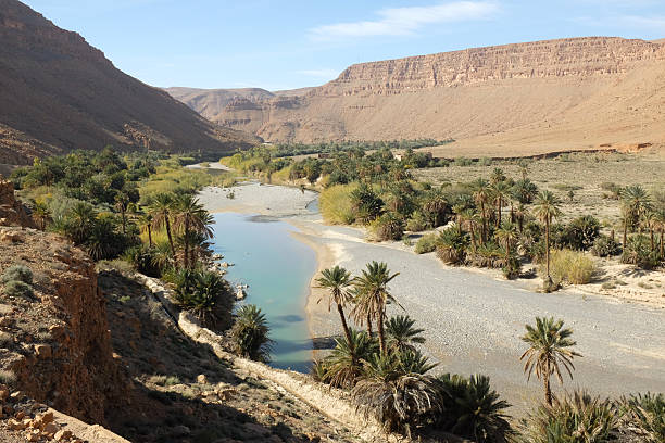River oasis with date palms in Moroccan Ziz Valley 