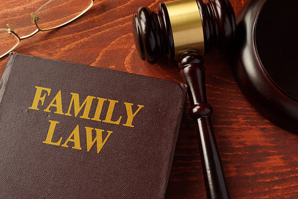 istock Book with title family law on a table. 629382684
