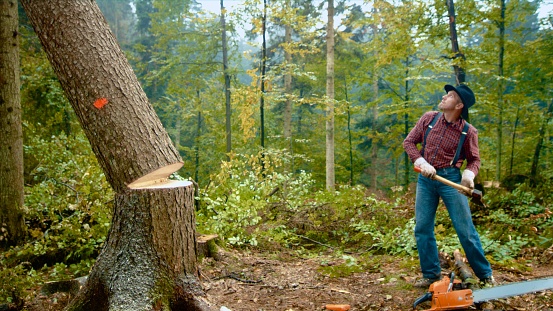 Man looking up and holding axe while standing near tree in forest.