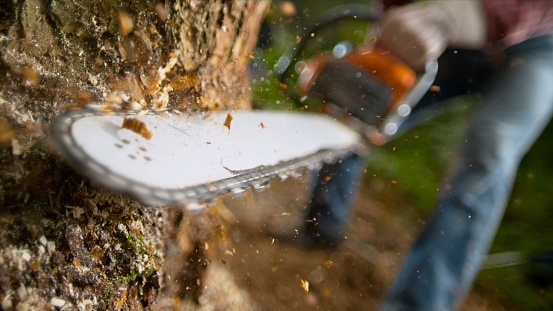 Hombre con motosierra cortando tronco de árbol photo