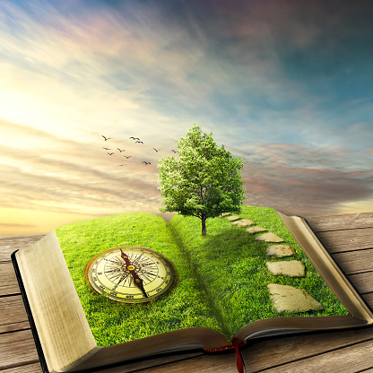 magic opened book covered with grass, compass, tree and stoned way on woody floor, balcony. Fantasy world, imaginary view. Book, tree of life, right way concept. Original screensaver.