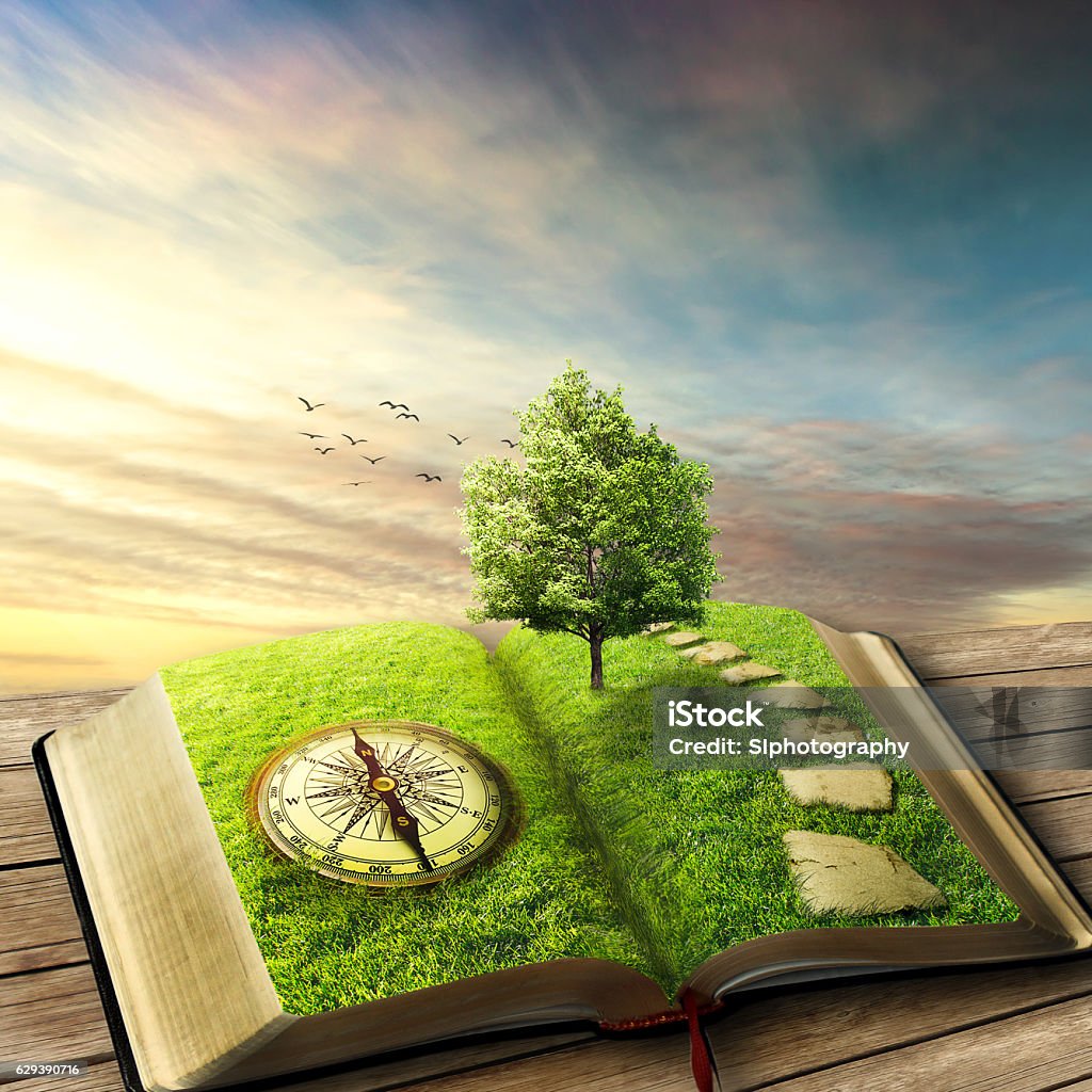 Book of life magic opened book covered with grass, compass, tree and stoned way on woody floor, balcony. Fantasy world, imaginary view. Book, tree of life, right way concept. Original screensaver. Book Stock Photo