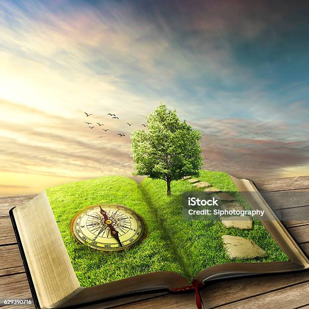 Book Of Life Stock Photo - Download Image Now - Book, Picture Book, Fairy Tale