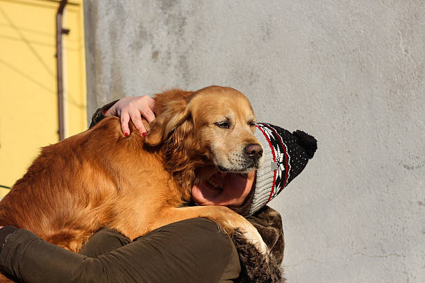 istock girl hugging her beautiful dog 629390906