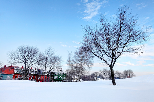 Winter in Boston's Roxbury  Fort Hill neighborhood