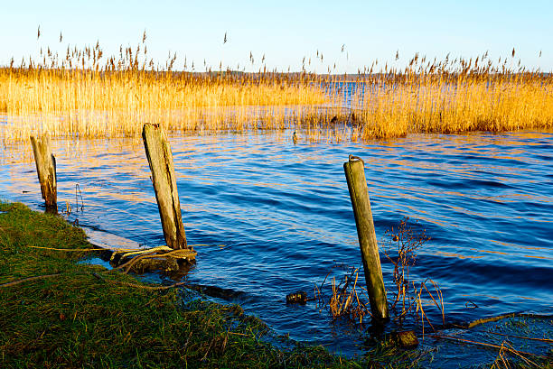 istock Old mooring poles in water 629397298
