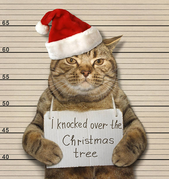 Bad cat and Christmas tree The cat knocked over the Christmas tree. It was arrested for this. arrest photos stock pictures, royalty-free photos & images