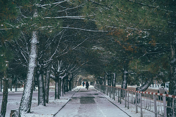 istock Alley in snowy morning 629404006