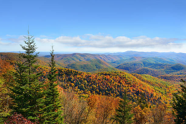 istock Beautiful colorful autumn mountain range landscape. 629406678