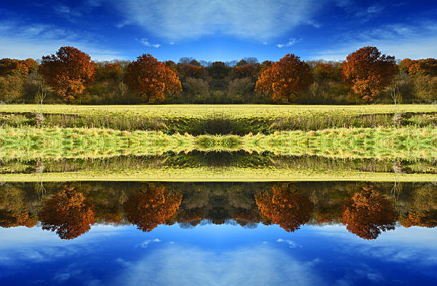 istock Symmetrical view of field in autumn 629407754