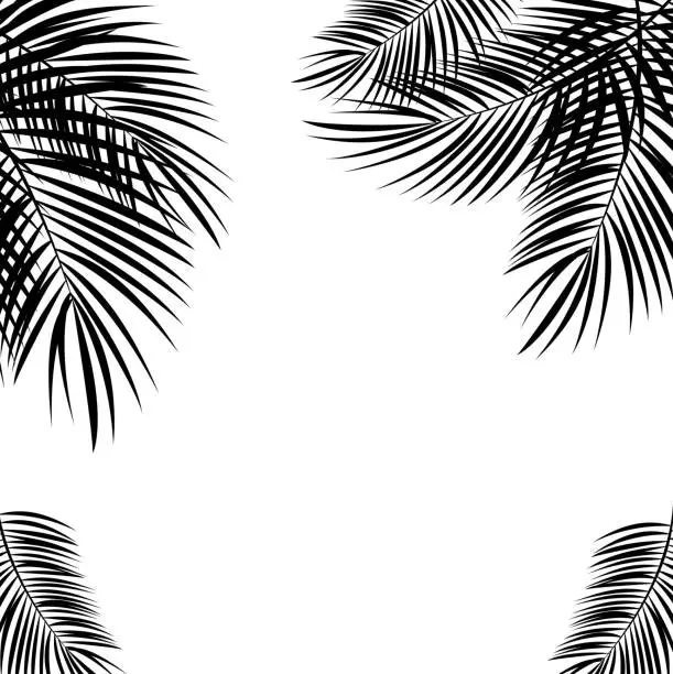 Vector illustration of Black Palm Leaf on White Background. Vector Illustration.