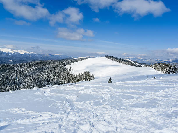 istock Winter in Carpatian Mountains. 629410412