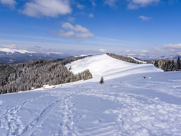 istock Winter in Carpatian Mountains. 629410514